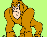 Desenho Gorila pintado por samyra