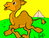 Desenho Camelo pintado por Guilherme