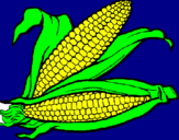 Desenho Espiga de milho  pintado por  ana karoline