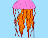 Desenho Medusa pintado por agua  viva