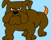 Desenho Cão Bulldog pintado por vera 1