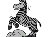 Desenho Zebra a saltar pedras pintado por rex