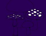 Desenho Cogumelos pintado por rafael