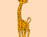 Desenho Girafa pintado por JUJU