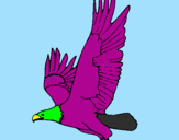 Desenho Águia a voar pintado por iago
