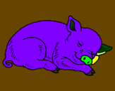 Desenho Porco a dormir pintado por cio