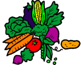Desenho verduras pintado por flavia 1