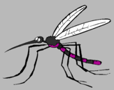 Desenho Mosquito pintado por Guthon