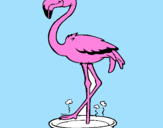 Desenho Flamingo com os pés de molho pintado por tamires