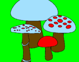 Desenho Cogumelos pintado por sol4