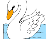 Desenho Cisne pintado por PIOLIN