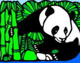 Desenho Urso panda e bambu pintado por   humberto k9