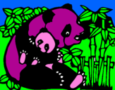 Desenho Mamã panda pintado por Judica
