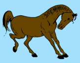Desenho Cavalo a dançar pintado por brunao