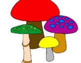 Desenho Cogumelos pintado por marly