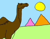 Desenho Camelo pintado por marai