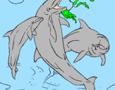 Desenho Golfinhos a brincar pintado por Ryan