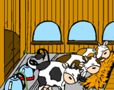Desenho Vacas no estábulo pintado por Duda Bella!!!