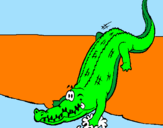 Desenho Crocodilo a entrar na água pintado por sofia