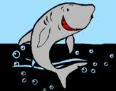 Desenho Tubarão pintado por felipeFARDIN