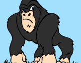 Desenho Gorila pintado por robson