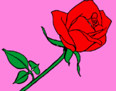Desenho Rosa pintado por Tariana