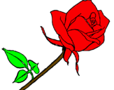 Desenho Rosa pintado por julia  vecci