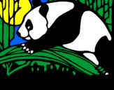 Desenho Urso panda a comer pintado por Inês