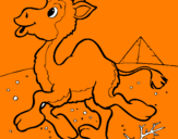 Desenho Camelo pintado por raphaela