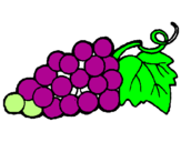 Desenho Uvas pintado por para adriana