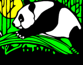 Desenho Urso panda a comer pintado por laysa