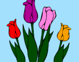 Desenho Tulipa pintado por fofa