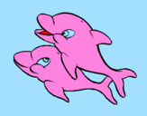 Desenho Golfinhos pintado por belly