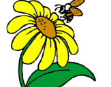 Desenho Margarida com abelha pintado por bruna