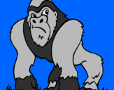 Desenho Gorila pintado por lucas  f