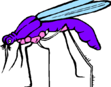 Desenho Mosquito pintado por vsi