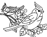 Desenho Pássaros pintado por passaro