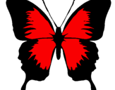 Desenho Borboleta com asas negras pintado por mariposa roja