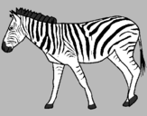 Desenho Zebra pintado por cATARINA SANTOS