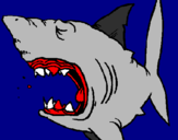 Desenho Tubarão pintado por pedro henrique brum