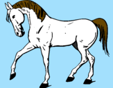 Desenho Cavalo com a pata levantada pintado por Pietra