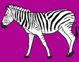 Desenho Zebra pintado por Milena Amábile