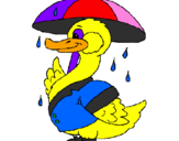 Desenho Pato sob a chuva pintado por graziele
