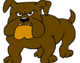 Desenho Cão Bulldog pintado por brunao