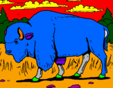 Desenho Búfalo pintado por davi