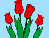 Desenho Tulipa pintado por nathália