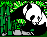 Desenho Urso panda e bambu pintado por onda