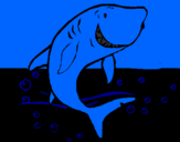 Desenho Tubarão pintado por Guilherme B