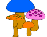 Desenho Cogumelos pintado por hongos