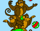 Desenho Macacos a fazer malabarismos pintado por juninho_12_12
